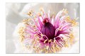 BlumenM19